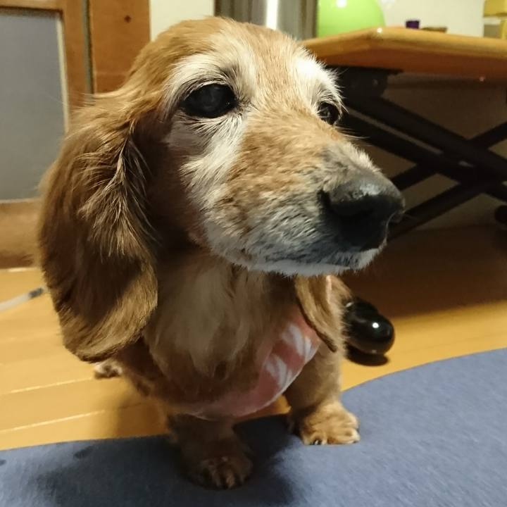 227da725 2be4 4679 8797 b127729013ef 1518825944781