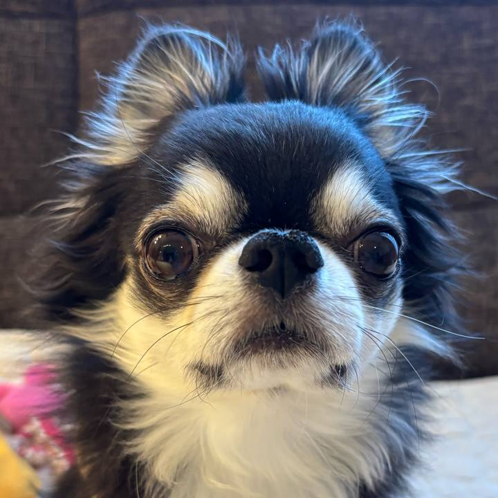 227da8b3 f589 47a3 9090 06f1e9319884 1743893166798