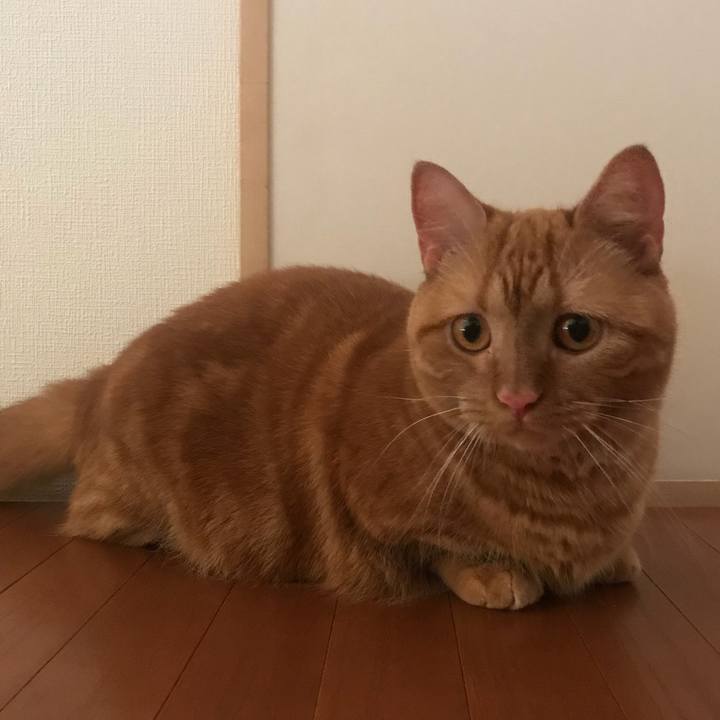 227dce57 f3fc 48ea 8924 ffcdc50f126d 1533476761751