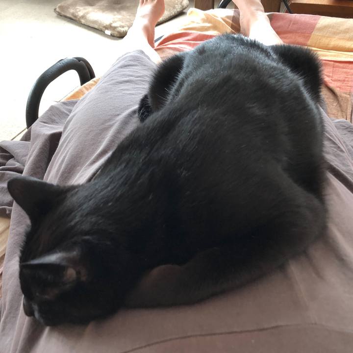 227dcfa3 b06e 46bb bad0 d06a1bb07722 1680309928458