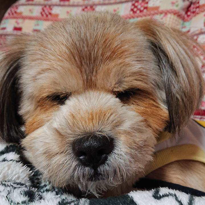 227ddb8d bc5d 4a21 bc52 571853332a20 1610023834170