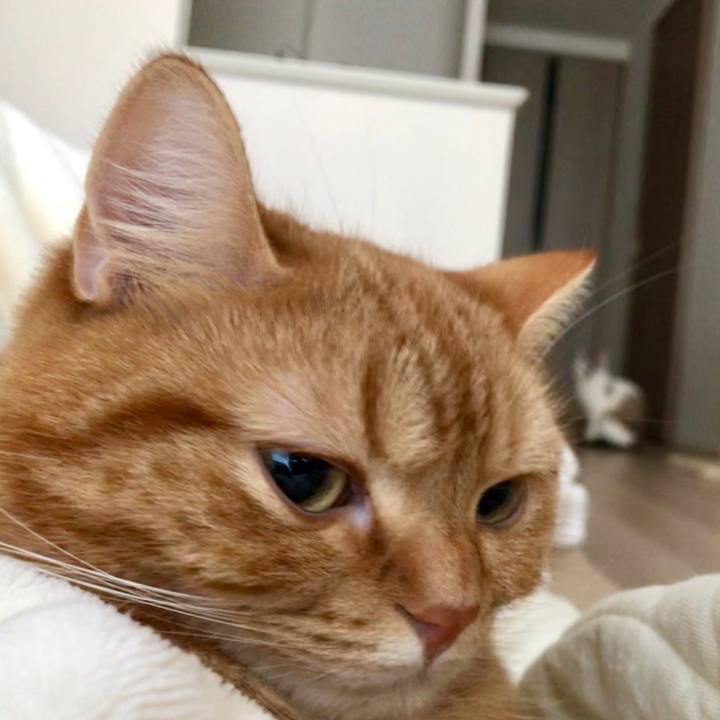 227de355 05c6 470c 889f ea2c82ecbf90 1519164750491