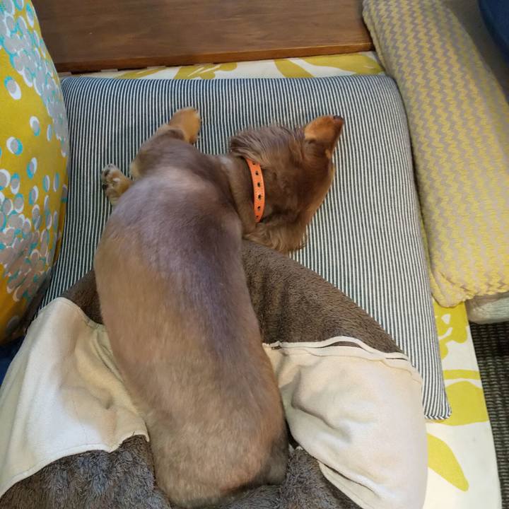 227df72d 0378 4ff8 8d11 42c1a40ca59f 1561103989203