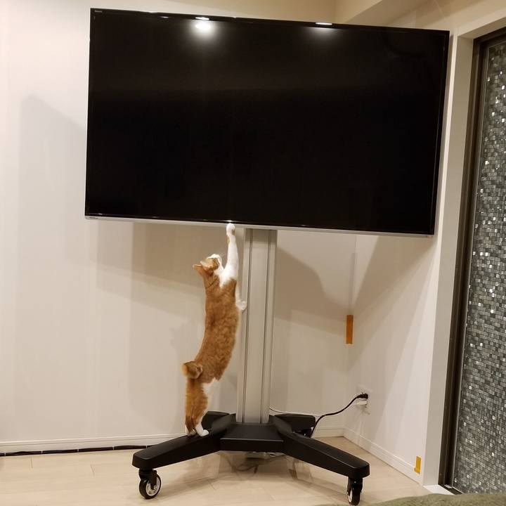 227dfe3f bda3 4f3b a062 0c591253085b 1537607822978