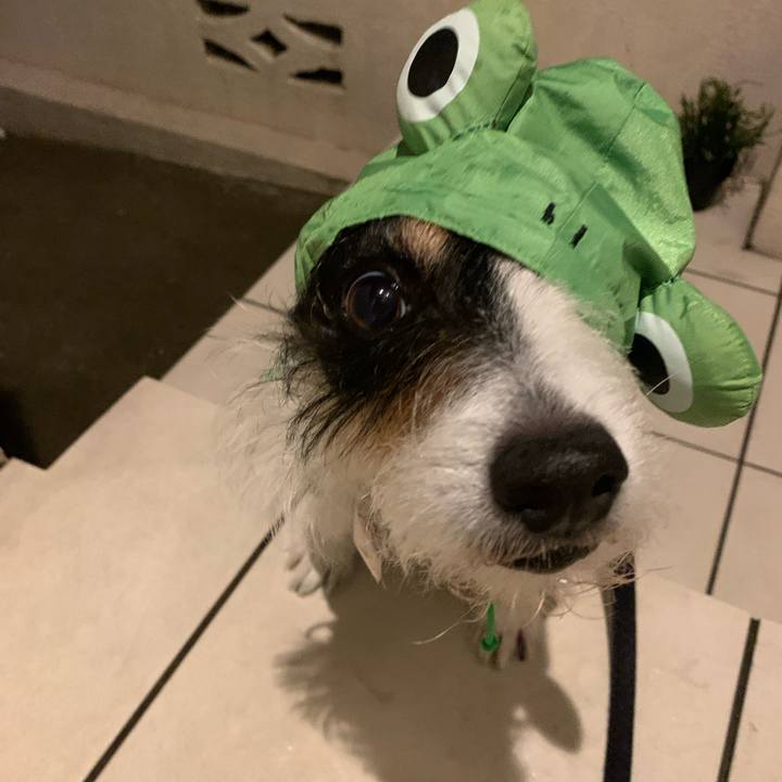 227e4408 67d2 4802 ae4d 26996b5b7214 1655247784137