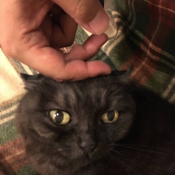 227e7f74 26a8 4d90 a1c0 ca8a33edd9ad 1523293084454