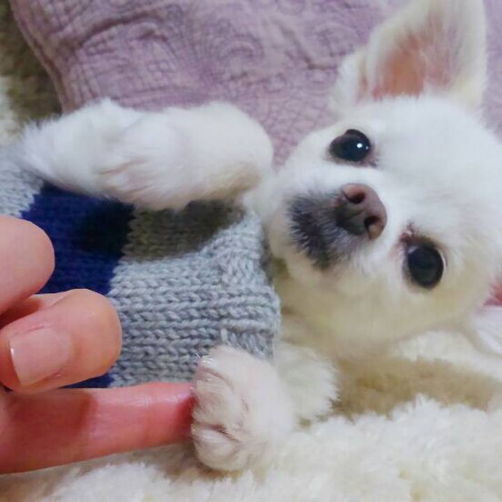 227ea941 71b4 4b3b a3c0 f3d40c705fd3 1554481868790