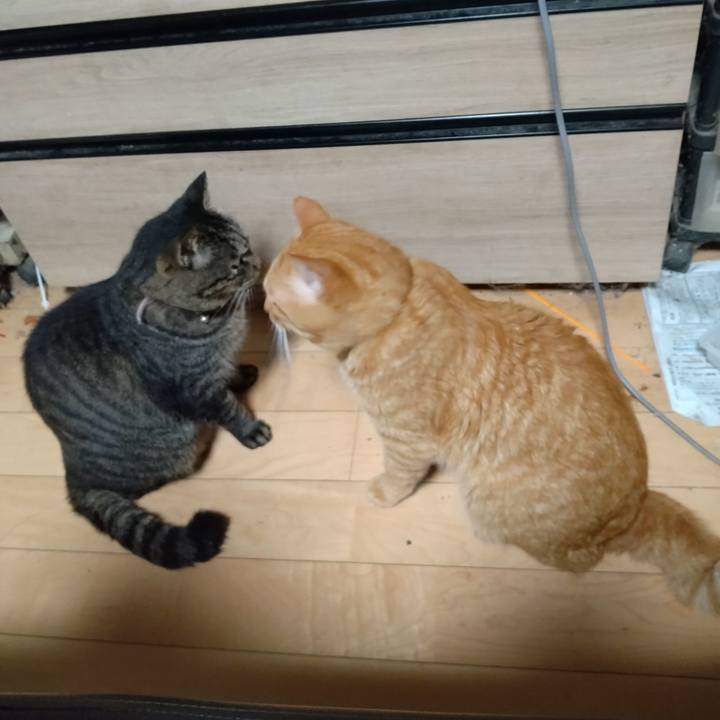 227eadc5 623d 4889 81e7 770fb48f4b4e 1726006093228