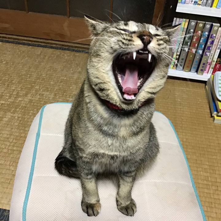 227ee0d7 c884 495a a4a2 0c4d6f94390d 1584787332613