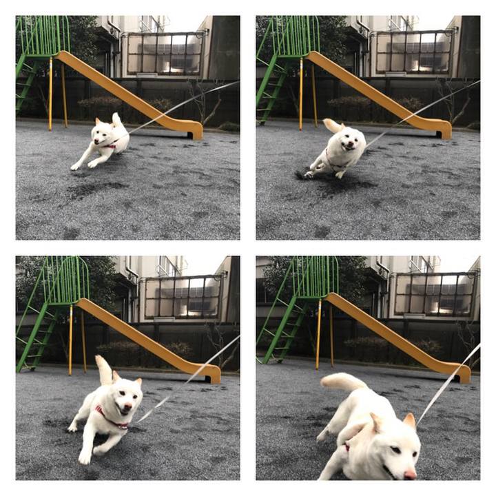 227f595c c072 47b1 8cad 805d0965bf5f 1520650774533