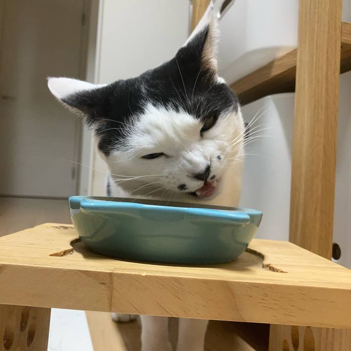 227f75b8 36c8 433e 99e5 6e766f6b95ff 1760731579040