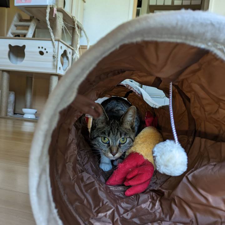 227f7ca6 ebb1 42d9 a2ee 7fb1133c0f8a 1686975804833