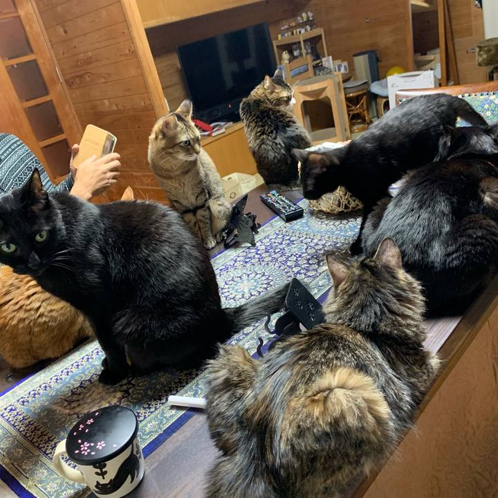 227f820c 882a 4dd4 85d8 b56f5b49d38f 1645361487443