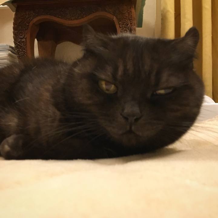 227fd5fb 3c20 47d9 a3ef 3117b86851bd 1516380794682