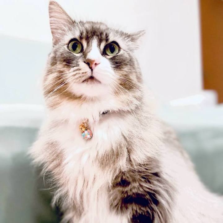 227fdaef f055 42ad 8e7c 67fc9e69c5af 1753723582958