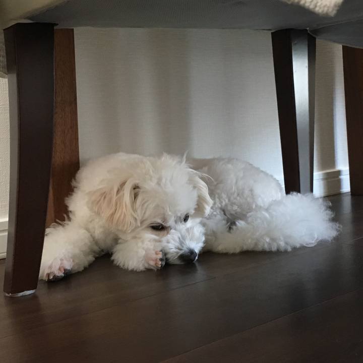 2280060f 6cbf 4e18 bd70 31cd5f03ec00 1564371734654