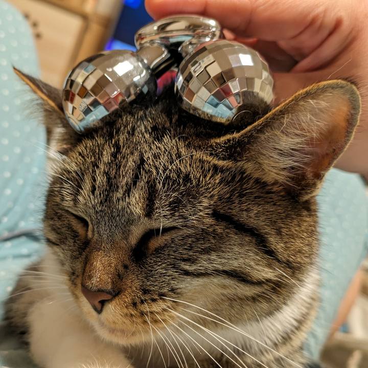 22800772 6676 48a6 8580 e62d0809cc76 1715873022867