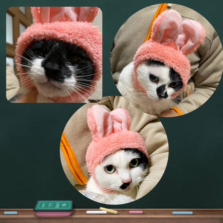 228024b1 653d 4ecf 9eac 76a40b46a0bb 1672508610783