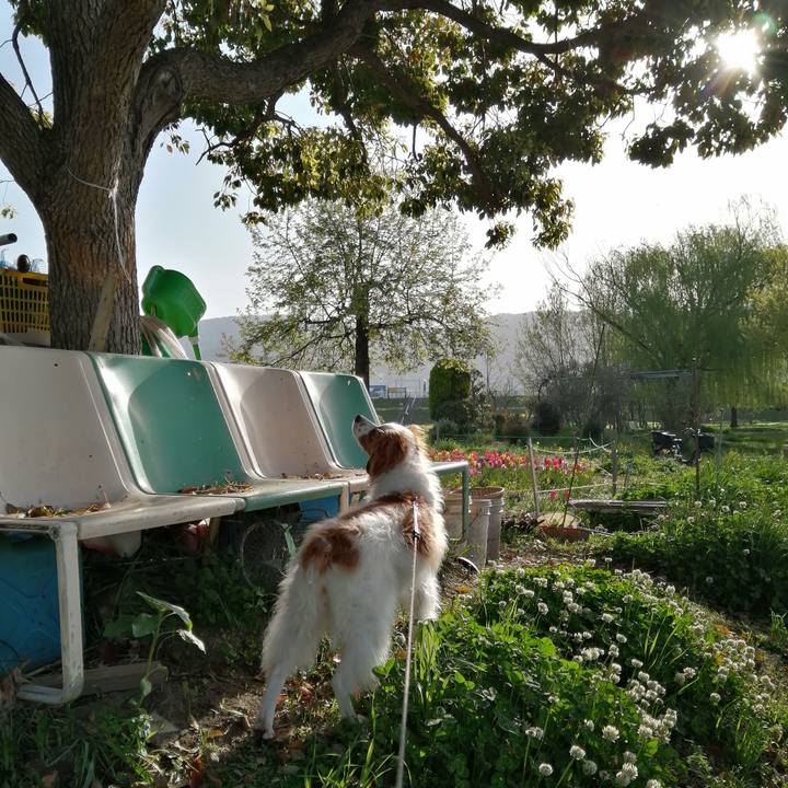 22803d1a 7ba5 42b2 be58 613ed21f8593 1617238284450