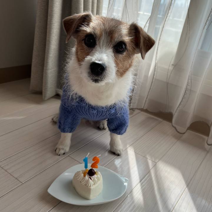 22803ece 1ba6 43d0 948c 26edf8ca991b 1762047779853