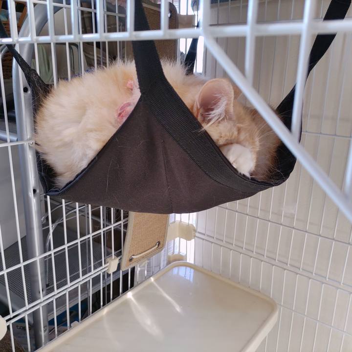 228044a2 af01 43f5 9739 3afefc0caa6a 1686865603467