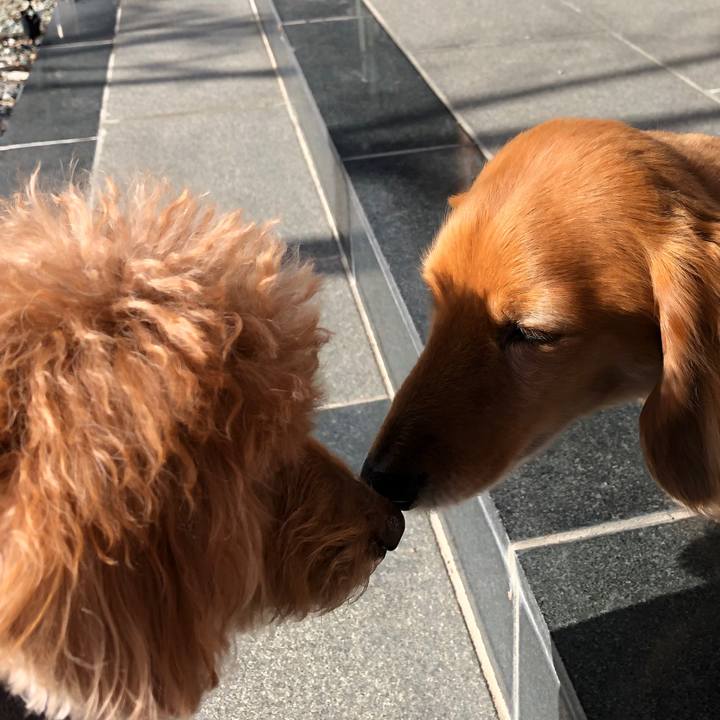 22808b7a cd0c 4512 9187 37466ce3ea59 1580725132510