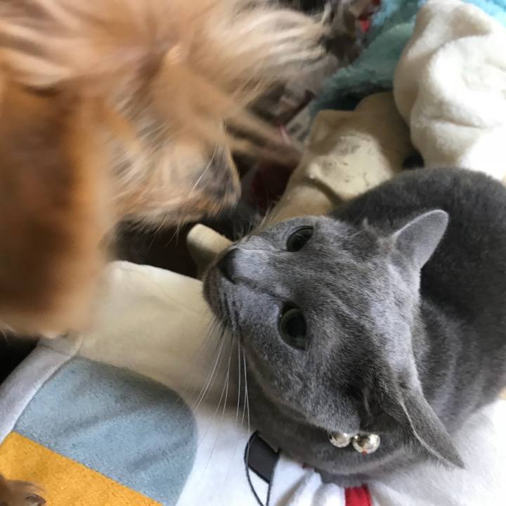 2280c633 4f8d 4833 8163 f9ef1a3c50f2 1510267733930