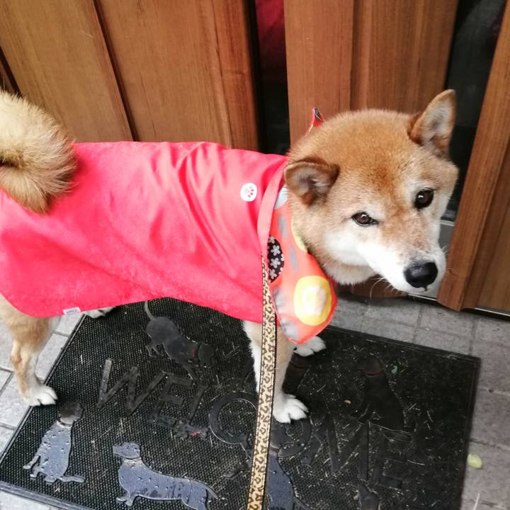 2280dcbb bc24 4c06 9dc7 1e96f56ba83e 1593505728434