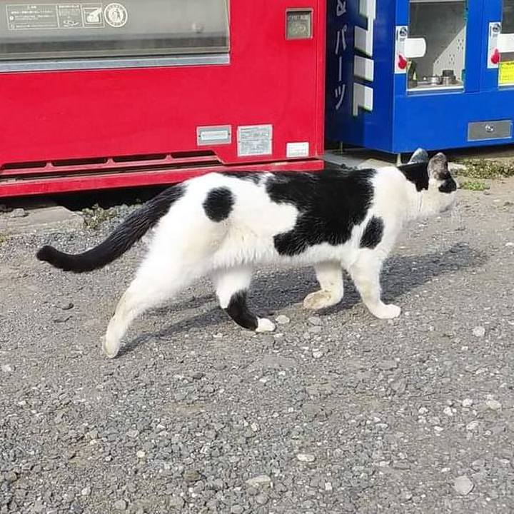 2280eecb 9344 47e6 ac74 b9fb674815da 1646645417949