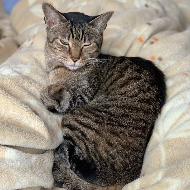 22810c36 f0ae 49b4 a2ee 6424c706371f 1581989514688