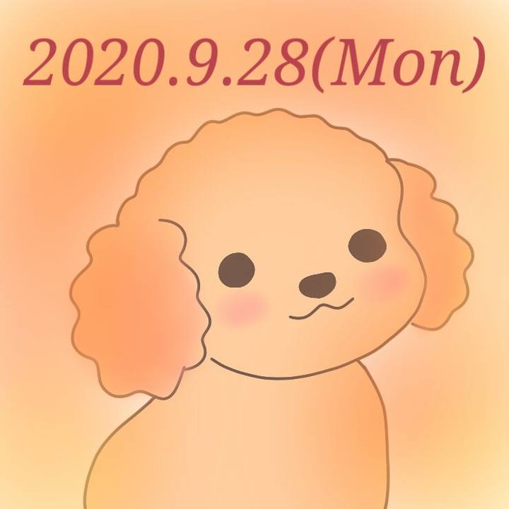 22811f81 ef17 4d05 9b7b a56ed13556a0 1601291133900