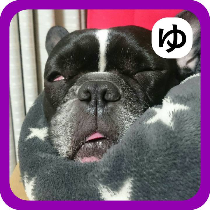 228129ca ba0d 49c6 9fe0 ba00af91053a 1515240285989