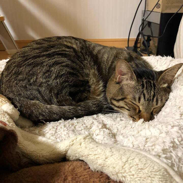 228153fe 24c2 470c 8919 1b25348caf10 1514479203492