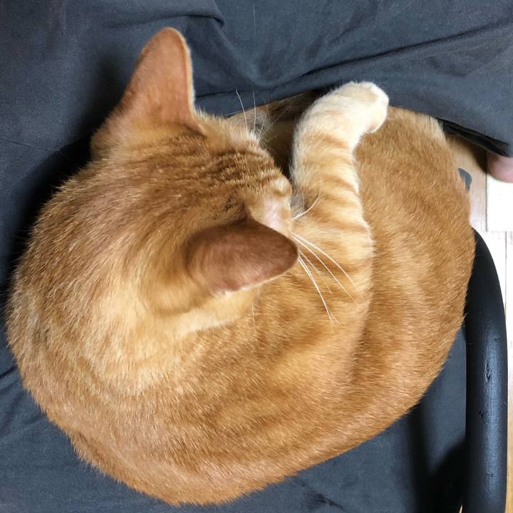 22815ce7 513d 45f9 a8c0 0cb47165a108 1635602071269