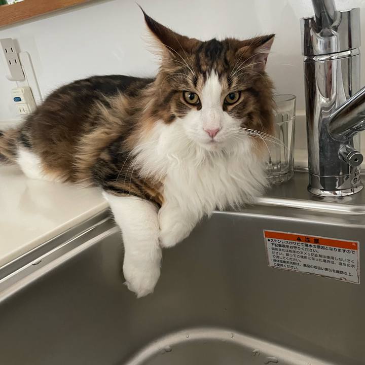 22815f18 ec79 40b7 b7ec 7c0234179678 1641587444510