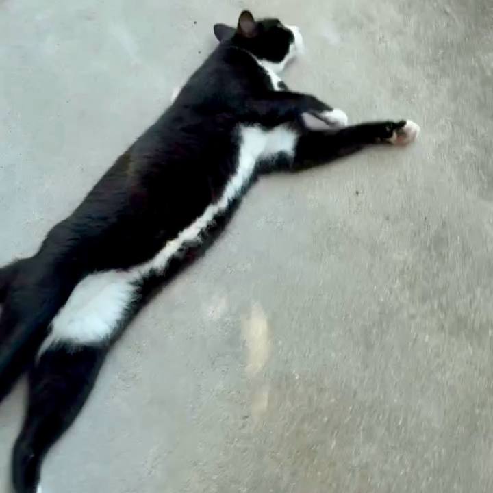 22818d32 94fc 40e5 86d5 0e2d1c1579dd 1755592071344