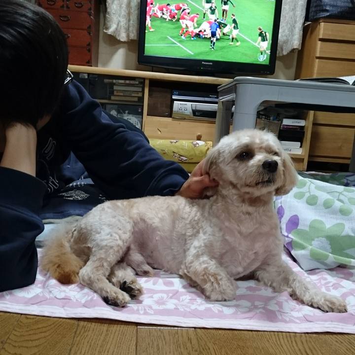 2281979a c18d 4bae a956 b0ddb43dade8 1572172263880