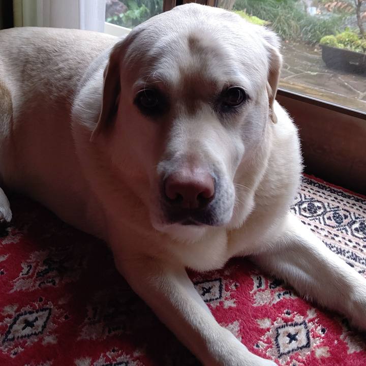 2281998f 28a4 4a91 9c99 9a7f3775ae63 1648945557873