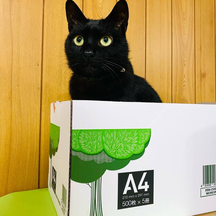 2281b067 6688 42fc 9c00 21e99c2cf34a 1680213662805