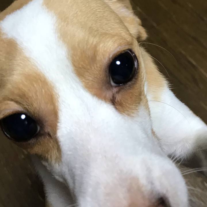 2281bc83 e0fe 499d a94a f27ace345e33 1540122353549