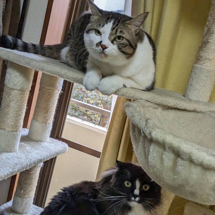 2281f016 2b24 4537 a98d 03f3c238c725 1699569476261