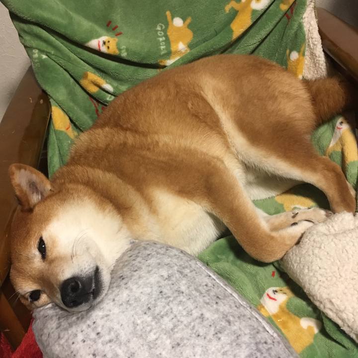 22821104 94f1 4992 8069 b70ec05abb48 1580469229469