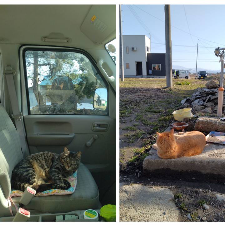 228220ac ea7c 46e4 8e91 1e8cc6cd8cb7 1679465251784