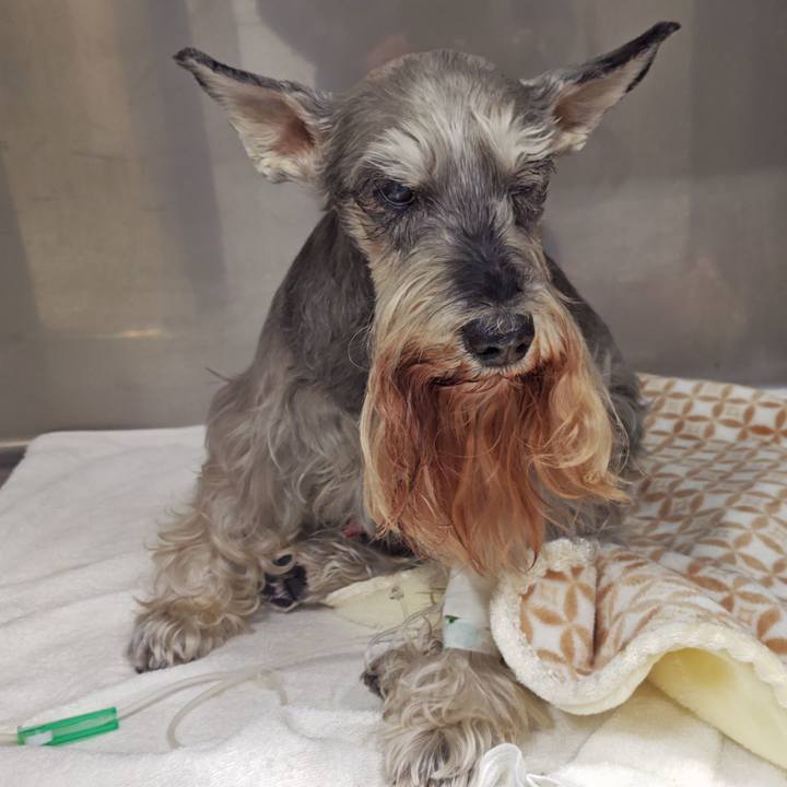 2282a919 b803 4f91 ac30 3ea66aede312 1768139206961