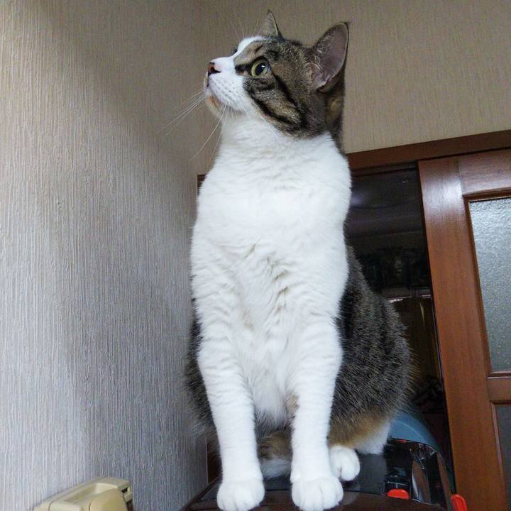 2282d301 91f6 4580 a724 98be8fd0f415 1655855820817