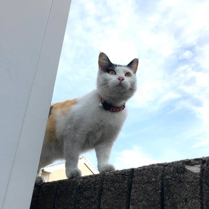 2282fbb3 8dba 4560 b676 6ce851445583 1619043914263