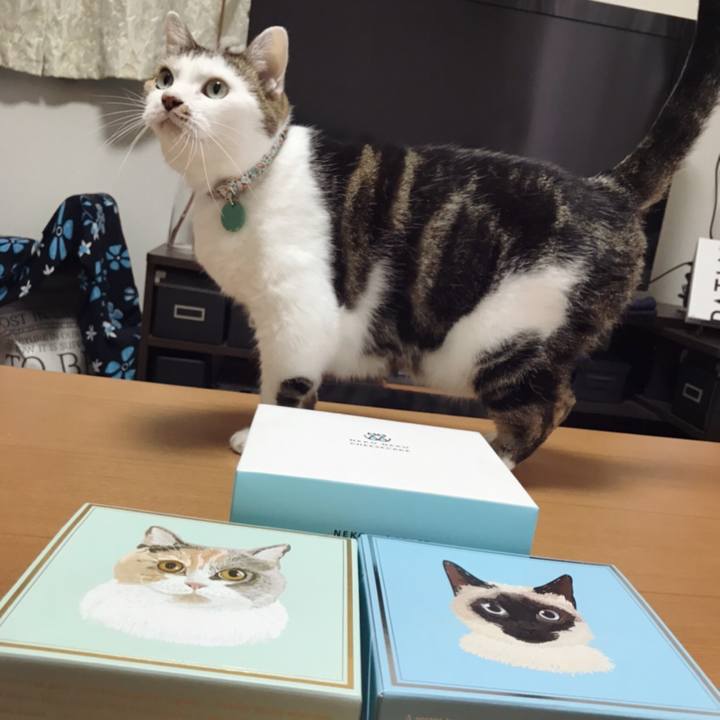 228321b0 c99c 4b8e 9b3c a9fb886b91e0 1595927434735