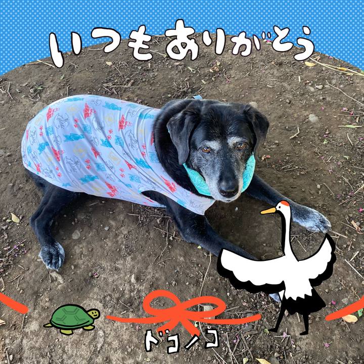 22833877 140c 44ef bea5 a1d9cd1c2254 1727225855540