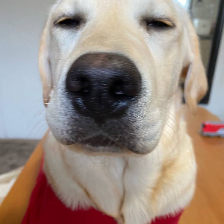 2283401a a789 401e 8411 36e51017655e 1618476168912