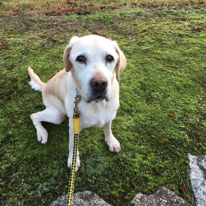 22836a0a 4023 4d3c bddf 3fdec896965a 1542325651117